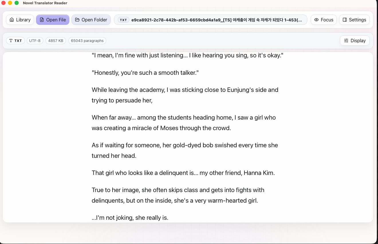Novel Translator Reader - TXT novel reading view with toolbar