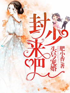 Secret of the President’s Wife: Love Me If You Dare