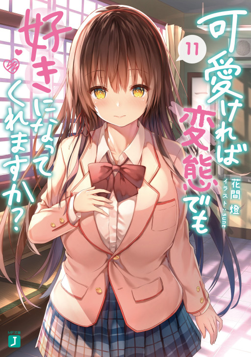Kawaikereba Hentai demo Suki ni Natte Kuremasu ka? Novel Library