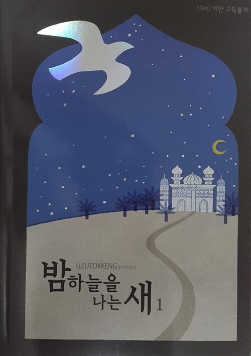 A Bird Flying in the Night Sky