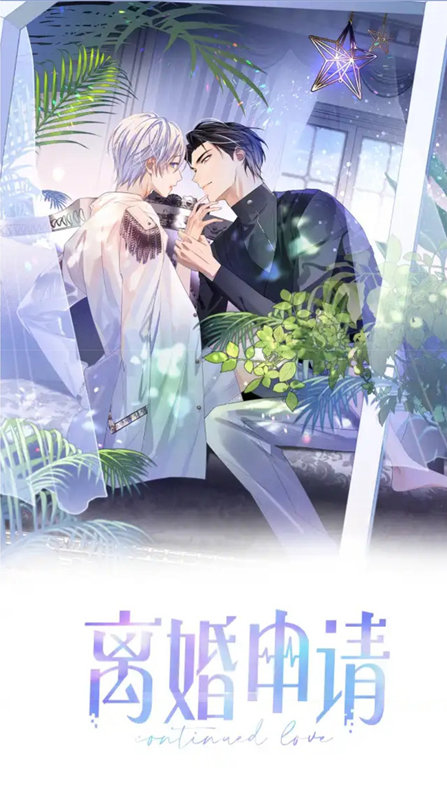 Application For Divorce