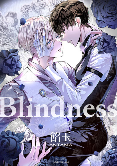 Blindness