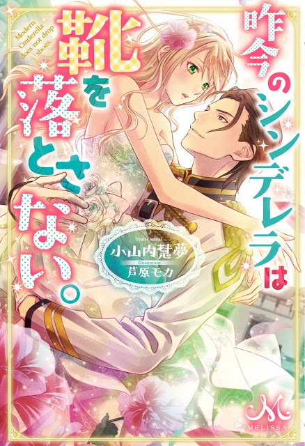 Cinderella Did Not Leave Her Shoe