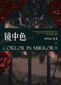 Color in the Mirror