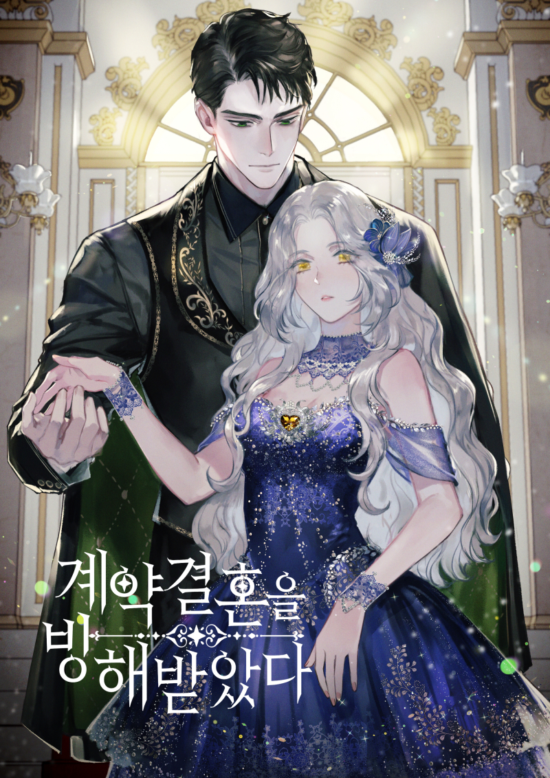 Contract Marriage Interrupted