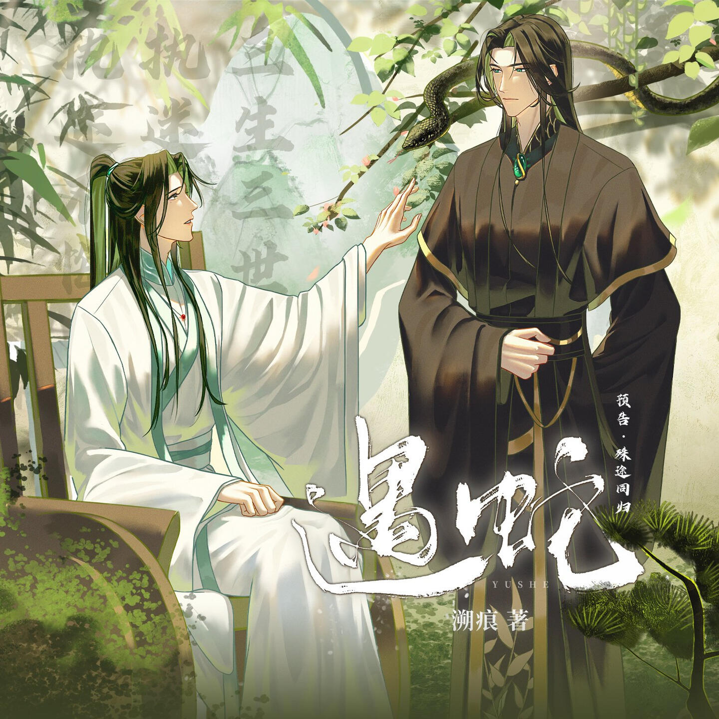 Encountering a Snake