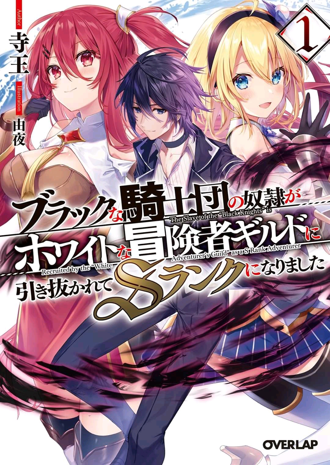 The S*ave of the “Black Knights” Is Recruited by the “White Adventure’s Guild” As an S-ranked Adventurer