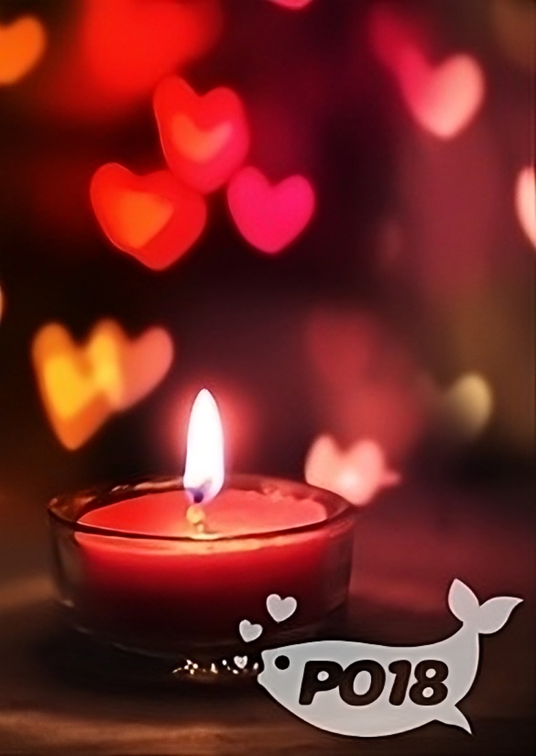 First Bed, Then Love