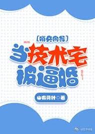 When the Hacker is Forced to Marry