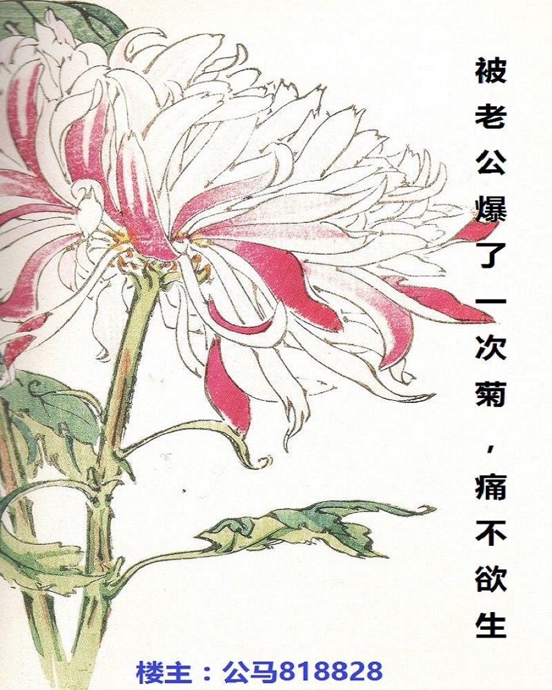 Husband Bursting My Chrysanthemum Is Painful Enough To Die!