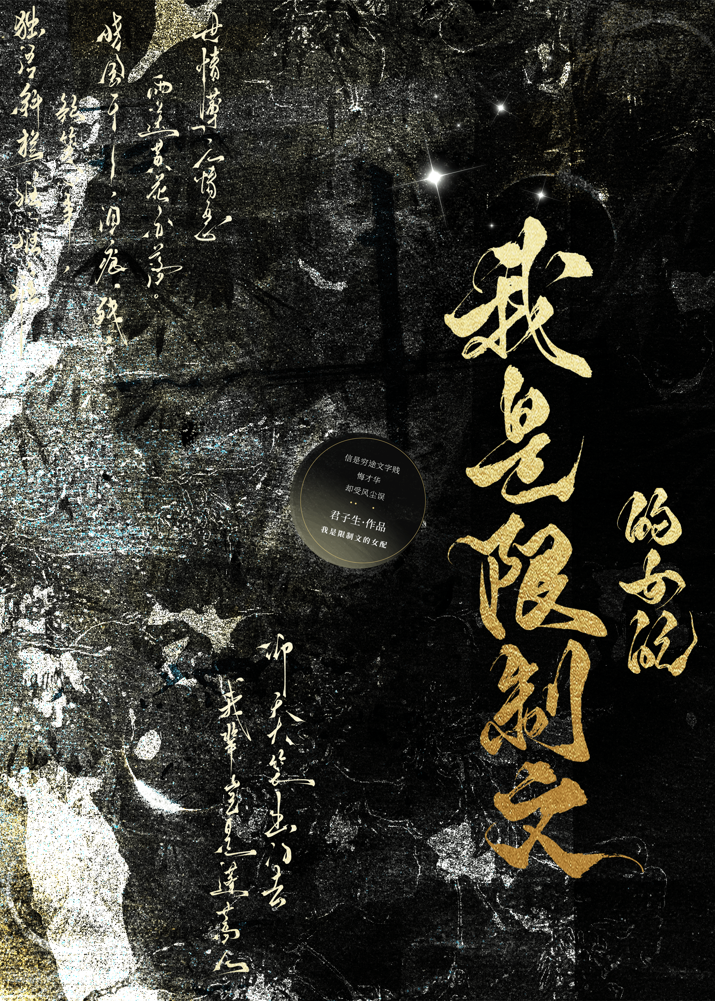 I am the Supporting Female Character in a Restricted Novel