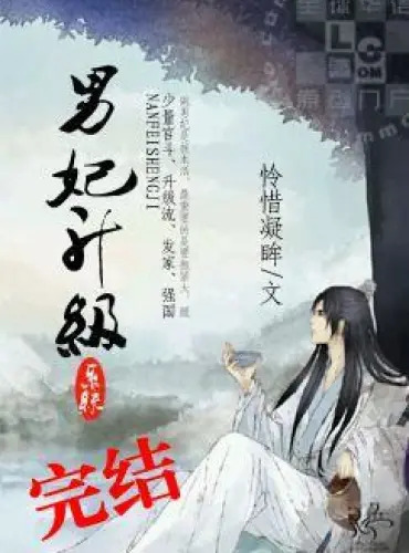 Male Consort Upgrade System