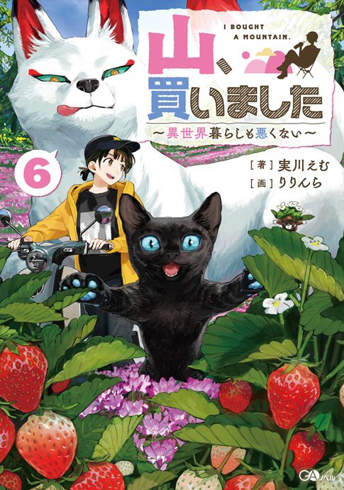 Mountain, I Bought It – Living in Another World Isn’t Bad Either