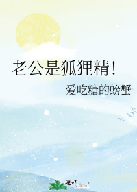 My Husband Is a Fox Spirit!