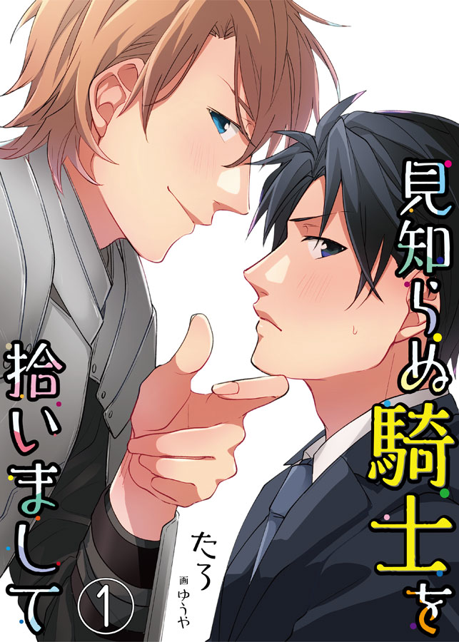 Picked up a Strange Knight