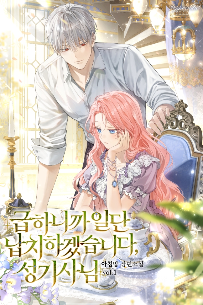 Pardon the Abduction, Holy Knight – It’s an Emergency