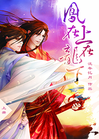 Phoenix Top and Dragon Bottom