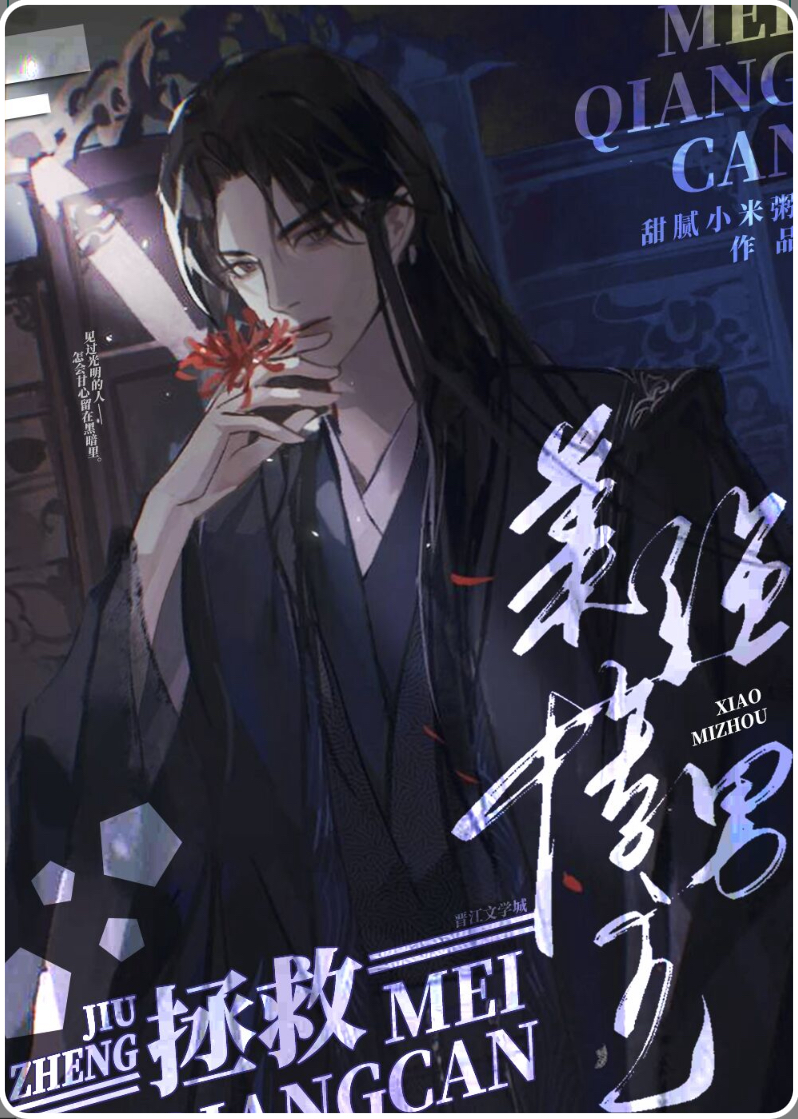 Rescue the Beautiful, Strong and Miserable Male Protagonist