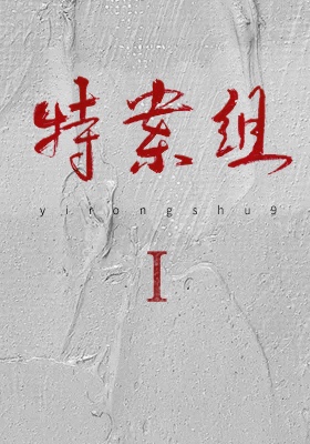 Special Case Investigation Team