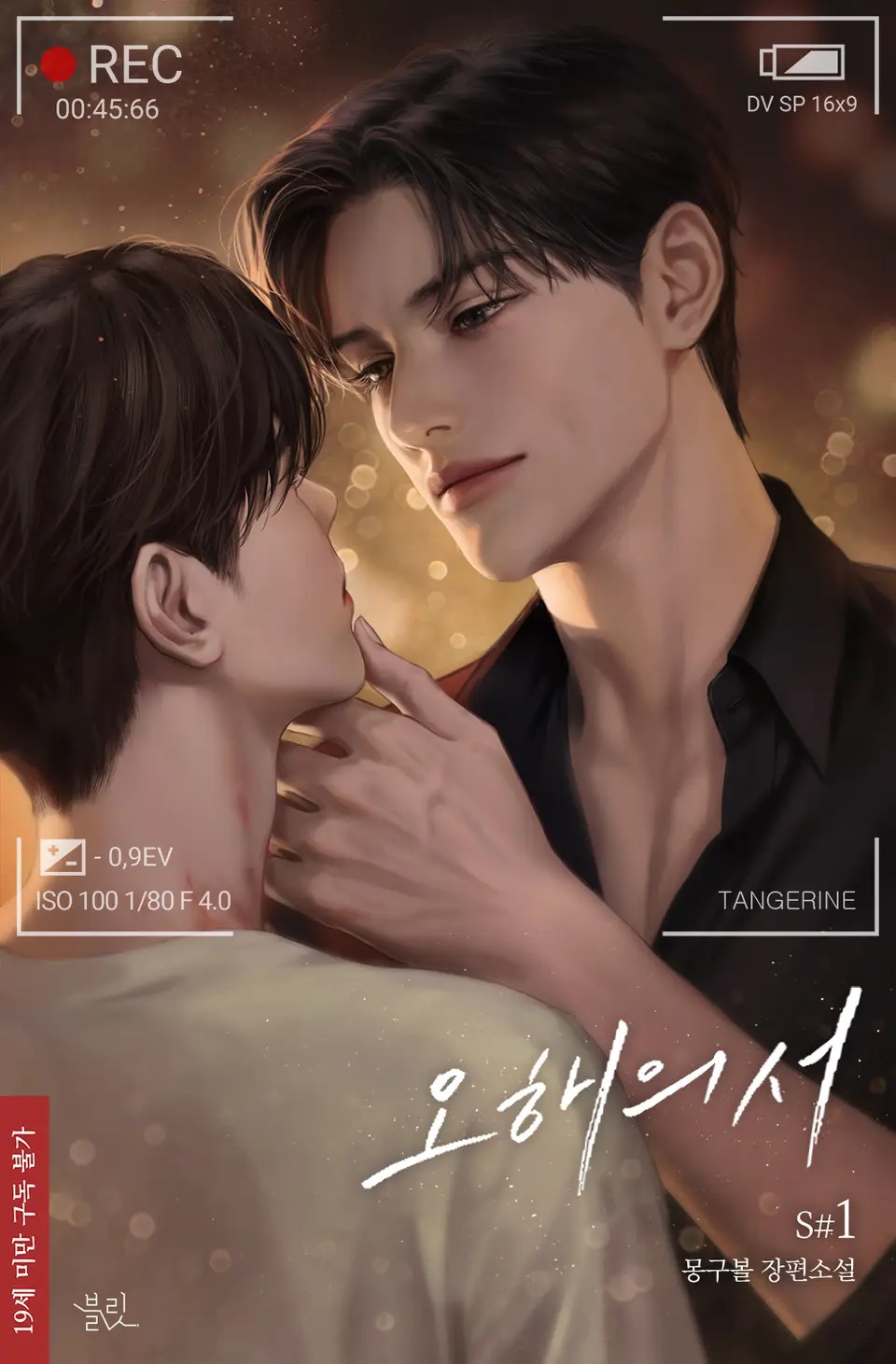 The Book of Misunderstanding