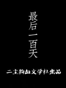 The Final 100 Days