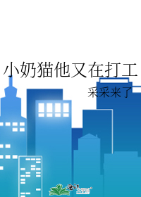 The Little Kitten Is Back to Work