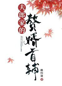 The Son-In-Law of the Husband’s Family