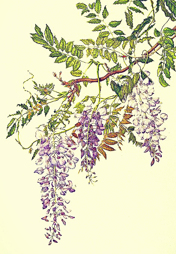 Aloof King and Cool (Acting) Queen