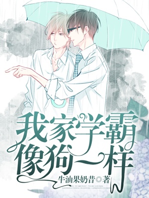 My Top Boy Is like a Dog