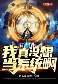 I Really Didn’t Want to Become a System