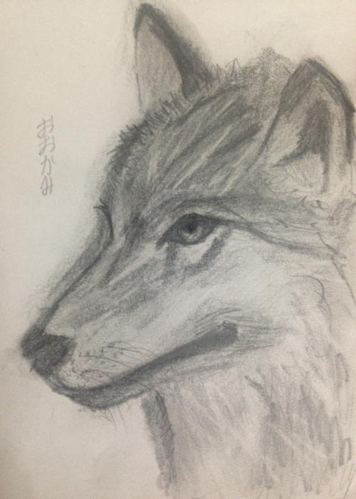 Tehe(*´∀`)♪ I Was Picked Up By a Wolf