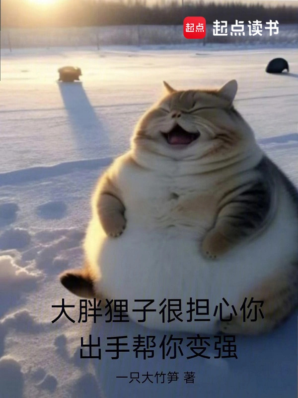 Big Fat Raccoon Cat is Very Worried About You, Offers to Help You Become Stronger