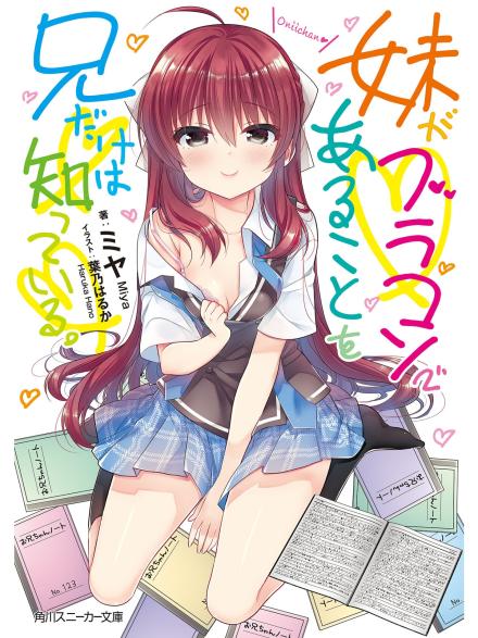 Only I Know that My Sister has a Brother Complex