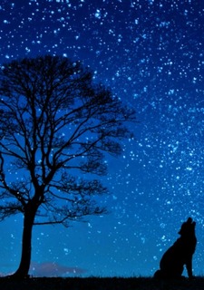 Sky of the Wolf