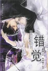 Illusion (Lan Lin)